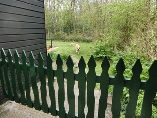 Holiday house Sint Maartensvlotbrug Outdoor Recording 5