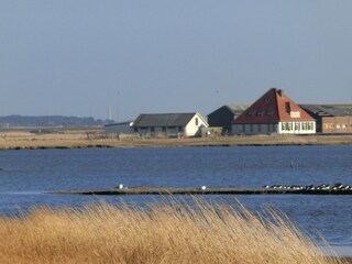 Vakantiehuis Sint Maartensvlotbrug Omgeving 18