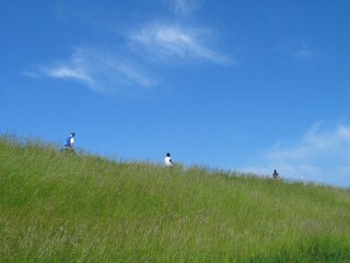 Casa per le vacanze Brouwershaven Ambiente 13