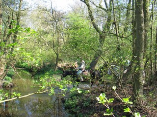 Casa per le vacanze Brouwershaven Ambiente 15