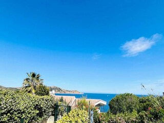 Appartement Calvi  8