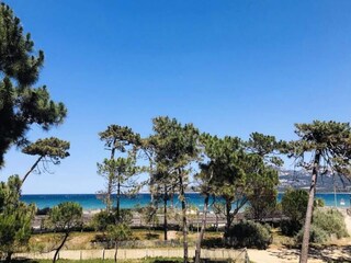 Apartment Calvi  13