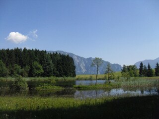 Vakantiehuis Unterach am Attersee Omgeving 17