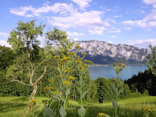 Casa per le vacanze Unterach am Attersee  20