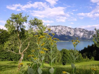Vakantiehuis Unterach am Attersee Omgeving 13