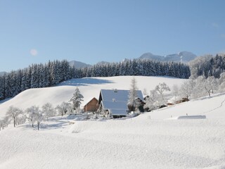 Casa per le vacanze Unterach am Attersee Registrazione all'aperto 5