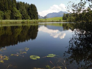 Vakantiehuis Unterach am Attersee Buitenaudio-opname 3