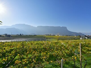 Appartamento per vacanze Girlan Registrazione all'aperto 2