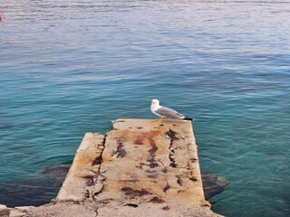 Appartamento Primosten Ambiente 13