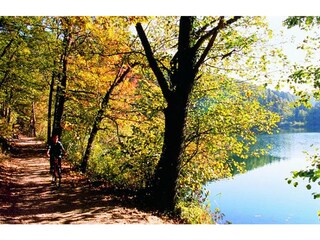 Appartamento per vacanze Girlan Ambiente 14