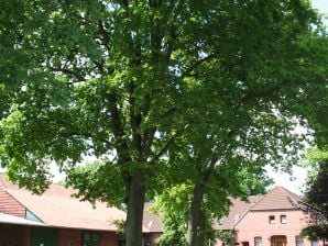Vakantieappartement Ferienhof Struckmann Nr.5