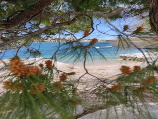 Appartement Rogoznica Environnement 34