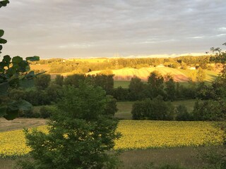Sinking sun