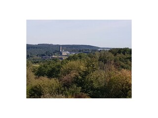 Vogelsang