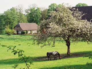Appartamento per vacanze Seedorf/Lauenburg Ambiente 15