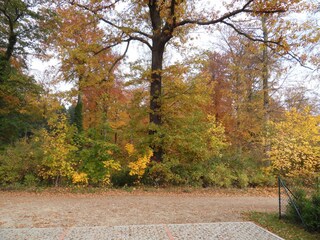 "Neben dem Haus" der Küstenwald