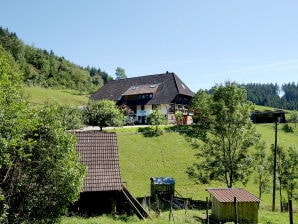 Ferienwohnung Rinkenbachhof - Schenkenzell - image1