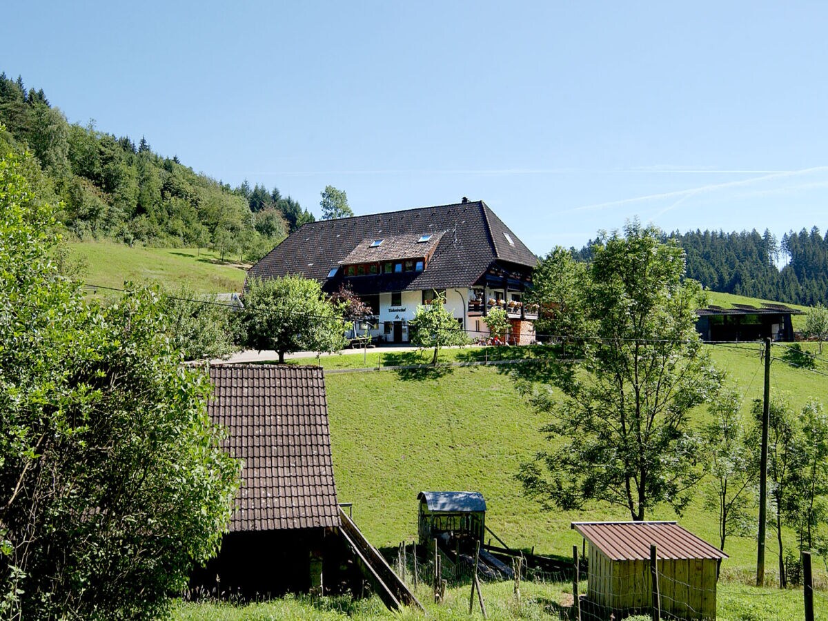 Ferienwohnung Rinkenbachhof