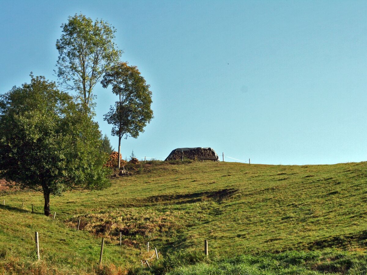 Rinkenbachhof