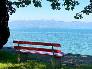 Ufer am Bodensee