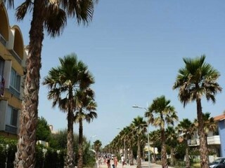 Apartment Marseillan  15