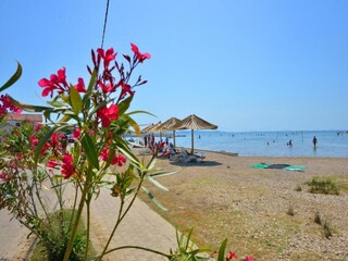 Appartement Raslina Omgeving 25