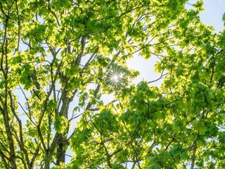 Appartamento Jezera Ambiente 30