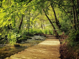 Apartamento Jezera Entorno 32