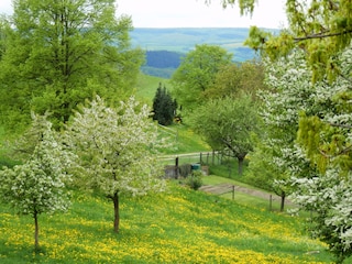 Schö. Wanderwege, der "Via MontePreso" ab Haustüre