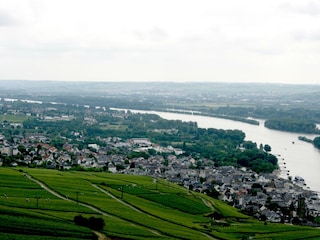 Blick vom Niederwalddenkmal auf Rüdesheim