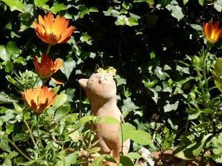 und neugierigen Kätzchen