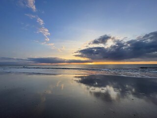 Appartement de vacances Westerland Environnement 24