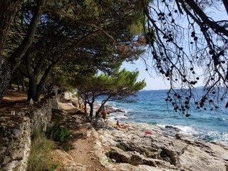 Appartement Murter (Stadt) Omgeving 19