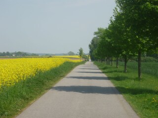 Radwanderweg Sauzin Richtung Trassenheide, Karlshagen