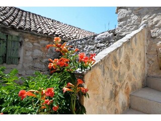 Apartamento Murter Grabación al aire libre 7