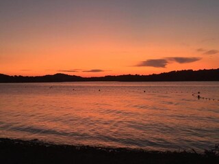 Appartement Murter Environnement 21