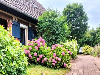 Appartement Cucq Buitenaudio-opname 2
