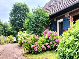 Appartement Cucq Buitenaudio-opname 3