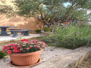 Apartment Ključ Außenaufnahme 6