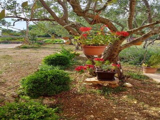 Appartement Ključ Enregistrement extérieur 2