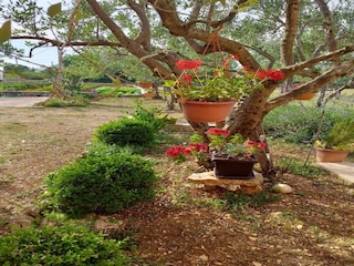 Appartement Ključ Enregistrement extérieur 4