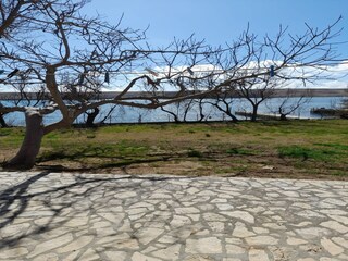 Appartamento Miskovici  33