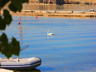 Appartamento Miskovici Ambiente 18