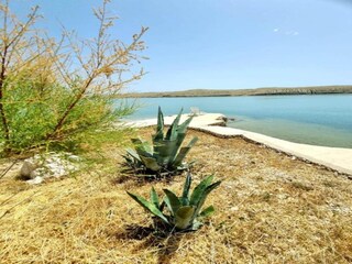 Apartamento Miskovici Entorno 32