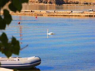 Apartment Miskovici Environment 19