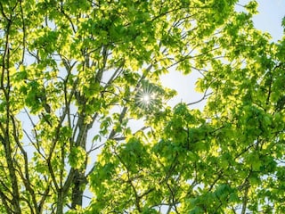 Apartment Mrljane Umgebung 32