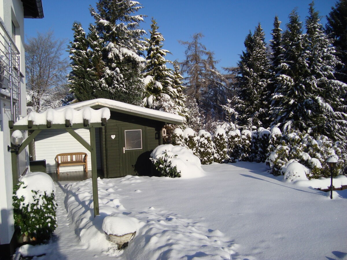 Der Garten im Winter