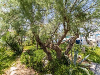 Hausboot Kukljica (Ugljan) Außenaufnahme 4