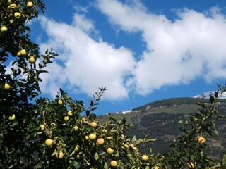 Appartamento per vacanze Latsch Ambiente 20