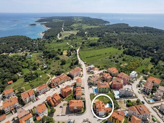 Villa Premantura Außenaufnahme 15